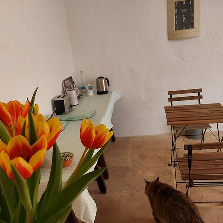 Razzett Warda B&B Għasri Dış mekan fotoğraf
