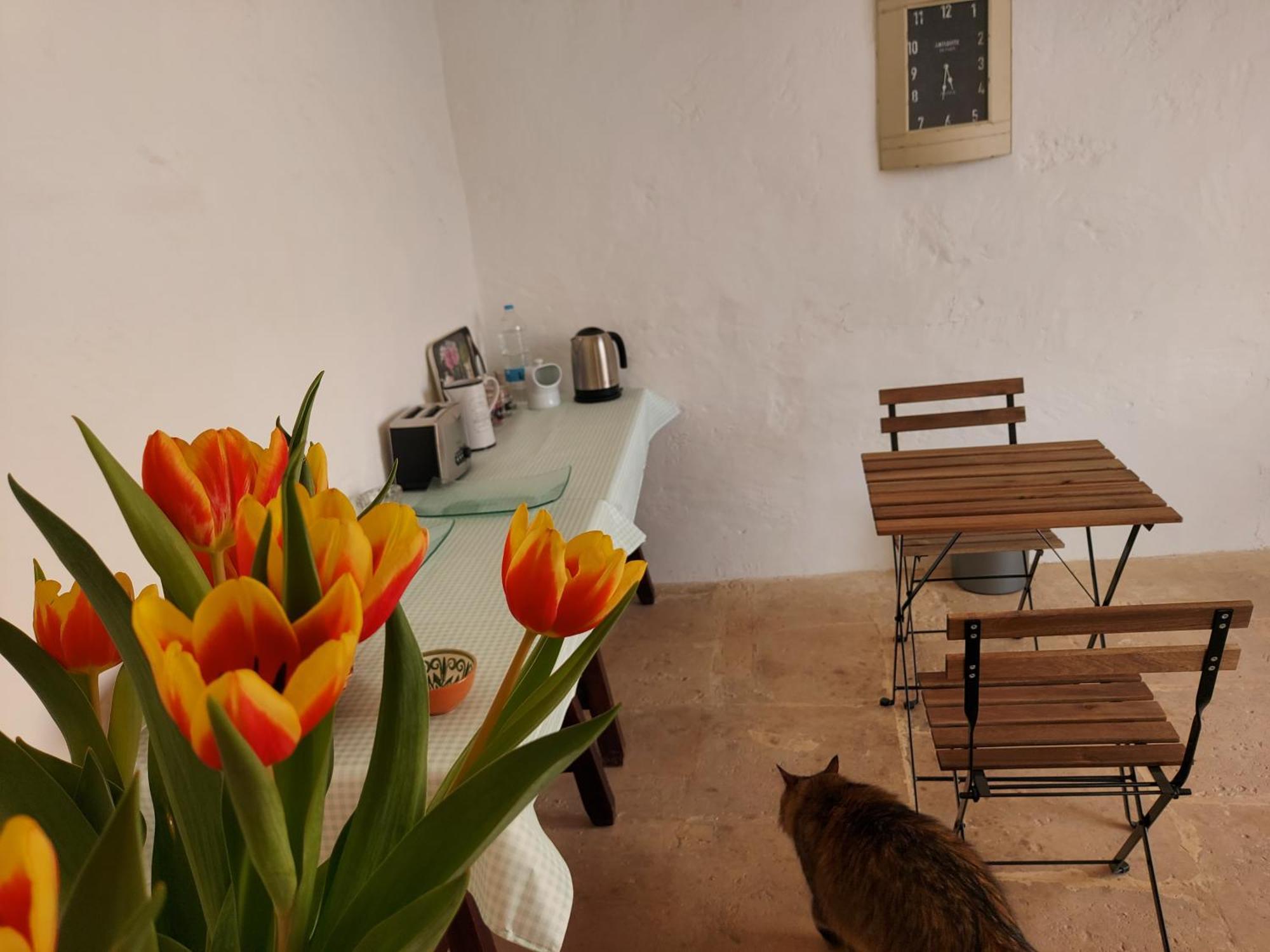 Razzett Warda B&B Għasri Dış mekan fotoğraf